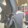 PLA EVOLT EASY 1kg Preto - Evolt