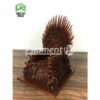PETG 1kg Transparent Brown - Filament PM