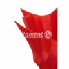 PETG 1kg Transparent Red - Filament PM