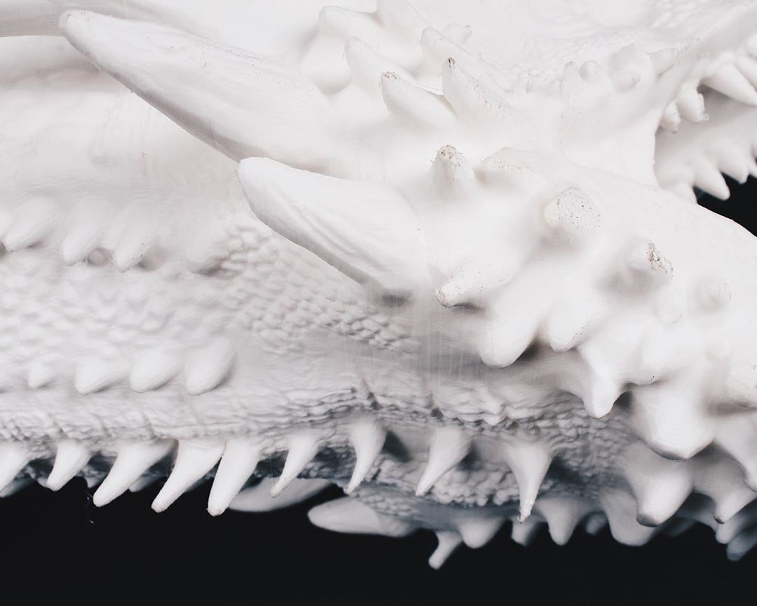 PLA 10m (Amostra) White - Filament PM - Image 5