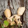 PLA 1kg Prusament Woodfill Linden Light - Prusa Original