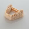 1000g DM 2505 Dental Resin Rigid Ultracur3D Resin SLA LCD e DLP UV Resina Beige - BASF