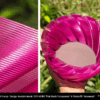 CPE HG100 750g Pink Blush Transparent - FILLAMENTUM