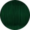 Easy PETG 10M (AMOSTRA) Bottle Green - Fiberlogy