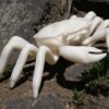 PLA 1kg Prusament Vanilla White - Prusa Original