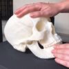 PLA 1kg Prusament Vanilla White - Prusa Original