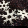 PLA Crystal Clear - Fillamentum
