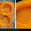 PLA 750g Extrafill Melon Yellow - Fillamentum