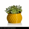 PLA 750g Extrafill Peppered Mustard - Fillamentum