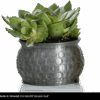 PLA 750g Extrafill Volcanic Dust - Fillamentum