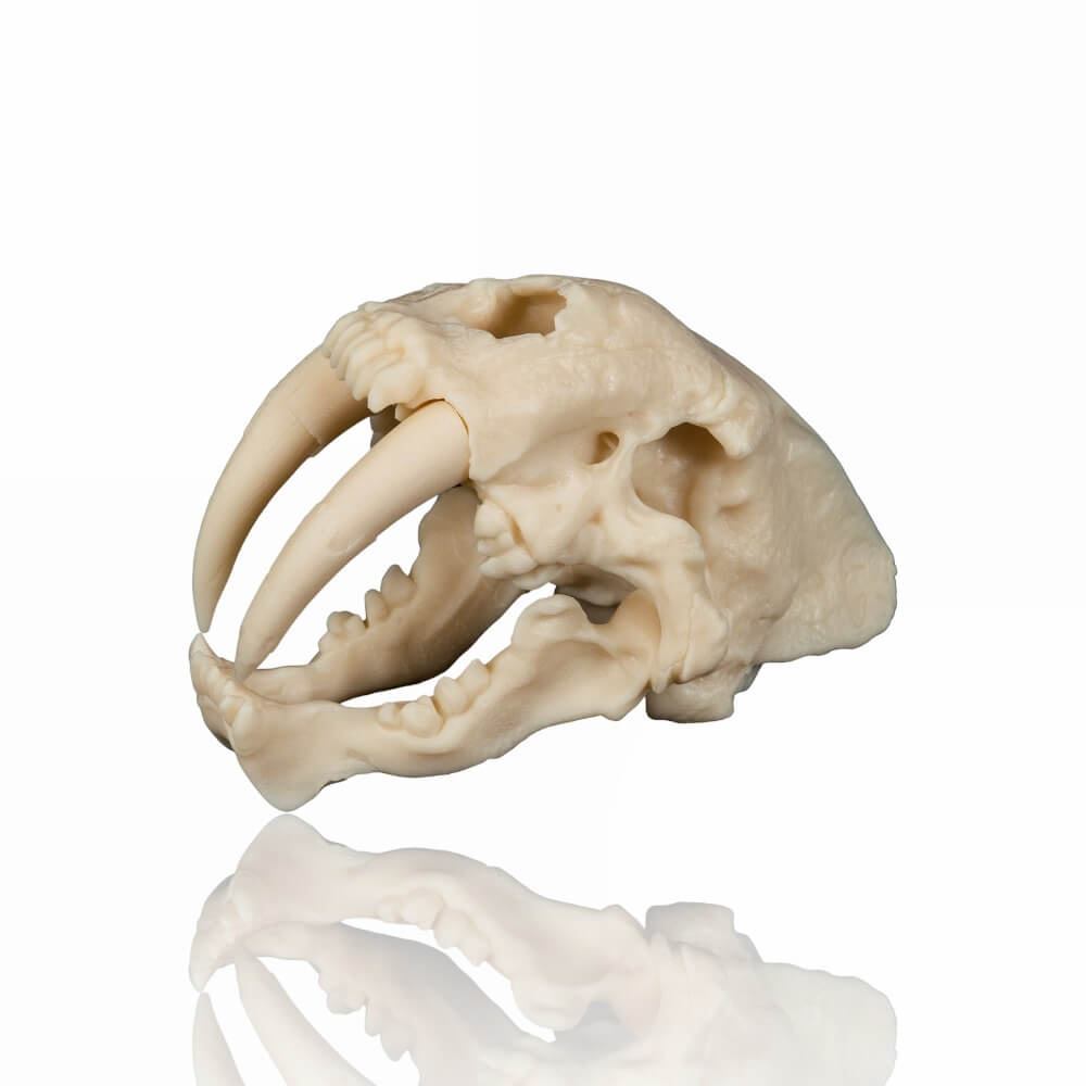 Prusament Resin 1kg BioBased60 Ivory White - Prusa Original - Image 3