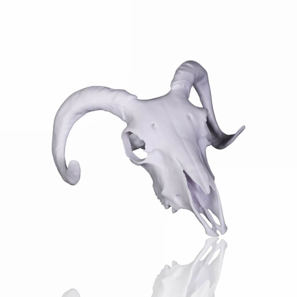 Prusament Resin Model Alabaster White 1 kg - Prusa Original - Image 6