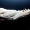 PLA+ PLUS PRO 1kg Bone White - ESUN