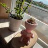 PLA HD 300g PASTEL Rosa Álgodon de azucar Cotton Candy Pink - WINKLE