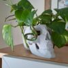 PLA 1kg Marble ( Mármore, Granito ) - Azurefilm