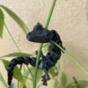 PLA Polyterra 1kg Charcoal Black - Polymaker – LINHA ANTIGA (Consultar Descrição)