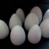 PLA FIL3D 3D850 1kg Branco - Tucab