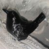 PETG FIL3D 1kg Preto - Tucab