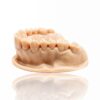 500ml Dental LCD Series Resina Impressão 3D LCD e DLP UV (385 - 420nm) Gypsum Peach - FORMFUTURA 1