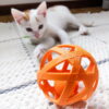 PLA FIL3D 1kg Laranja - Tucab